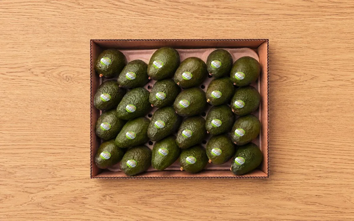 Valtora Premium Avocado Packaging: Single Layer Carton (4 kg / 8.8 lbs)