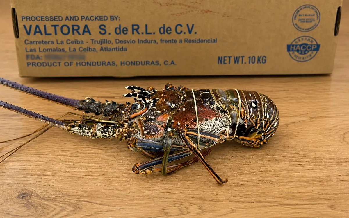Frozen Whole Rock Lobster