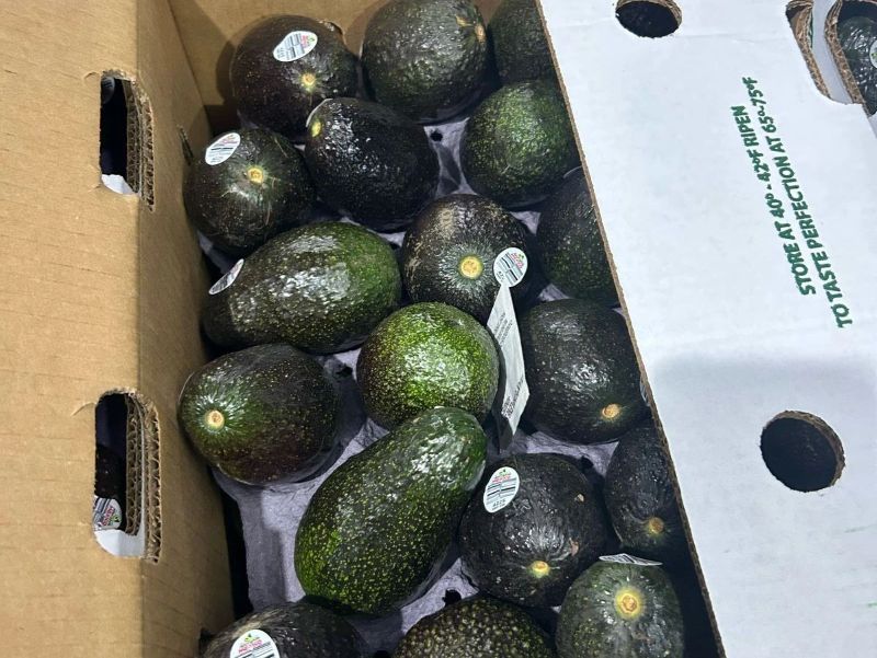 Mexico Hass Avocados